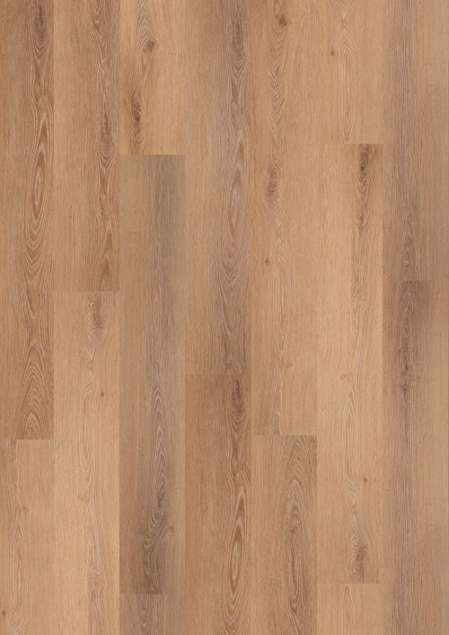Musgrove Mill (BBL05)
