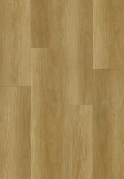 Blackbutt (BBL18)